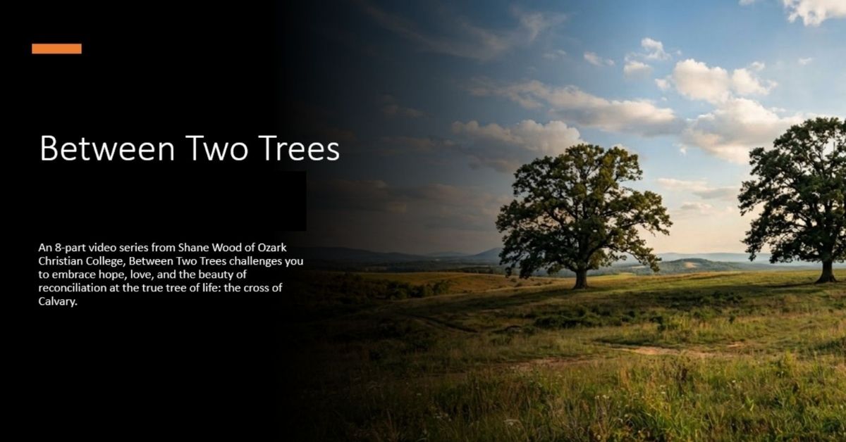 Sep 2 - Wed - Between Two Trees